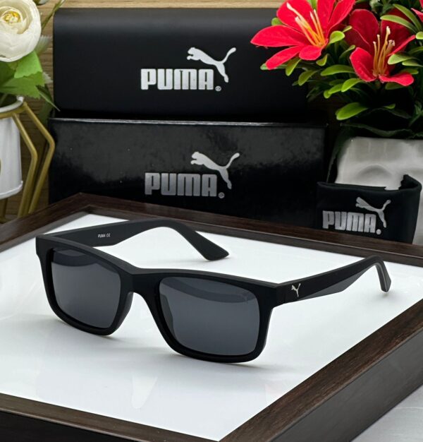 Puma_Polarized