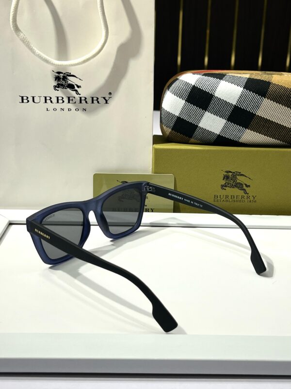 BUR_BERRY 2818 BLUE BLK - Image 3