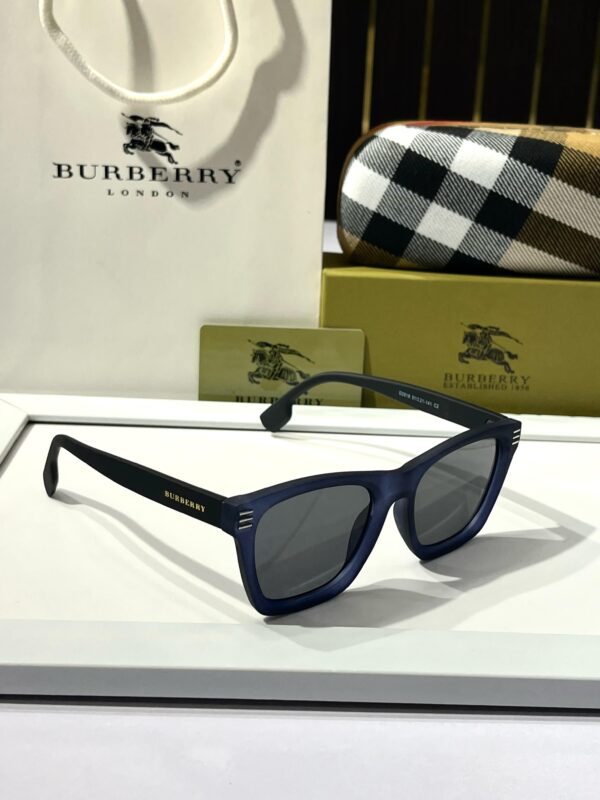 BUR_BERRY 2818 BLUE BLK - Image 2
