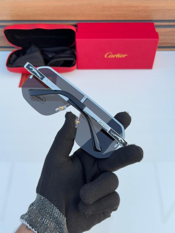 CART-IER 415 SILVER BLACK - Image 4